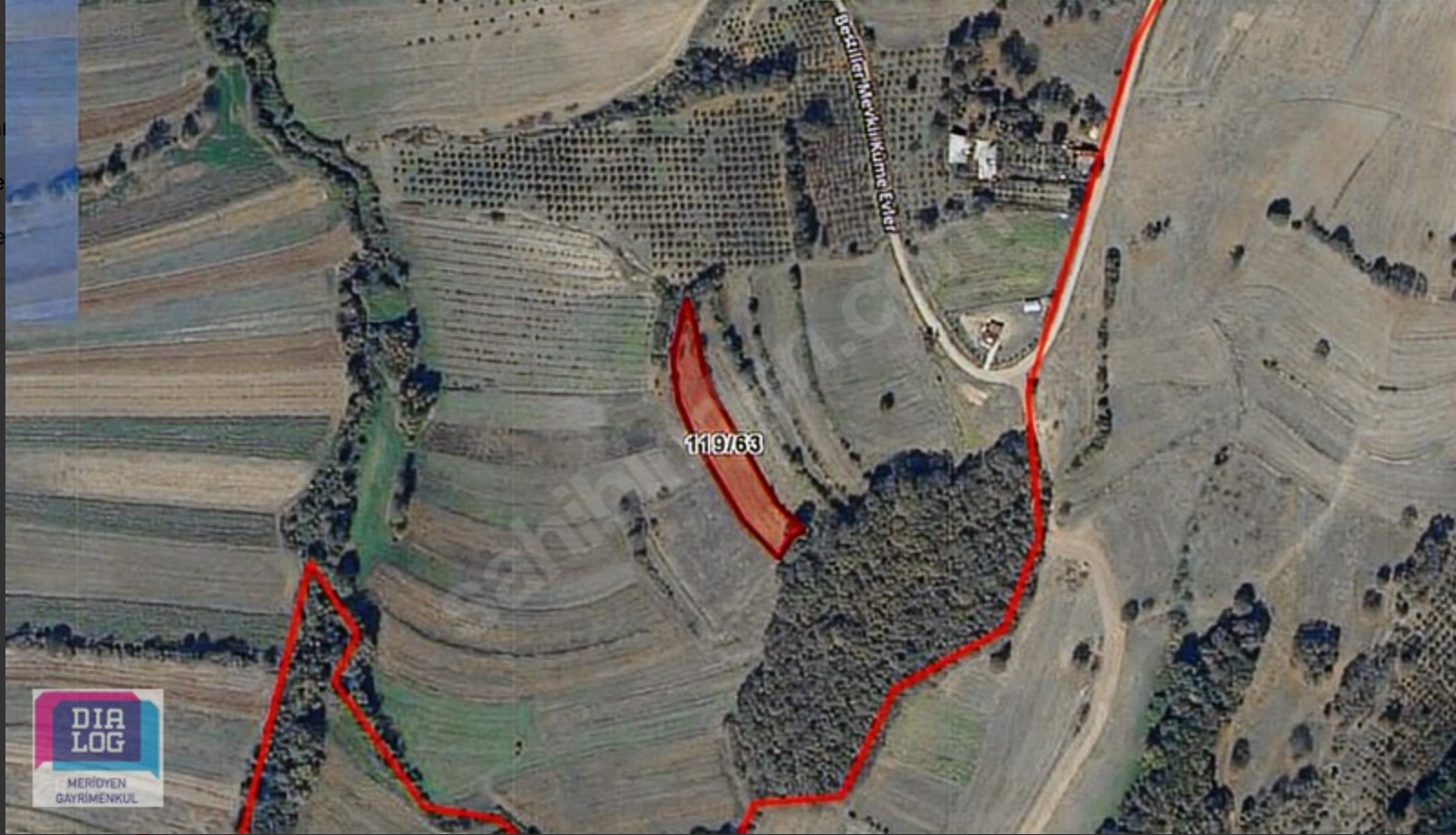 Kandıra Karadivan Fındık Bahçesi